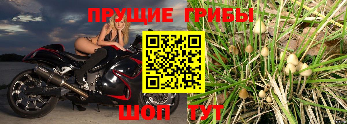Псилоцибиновые грибы GOLDEN TEACHER Новошахтинск
